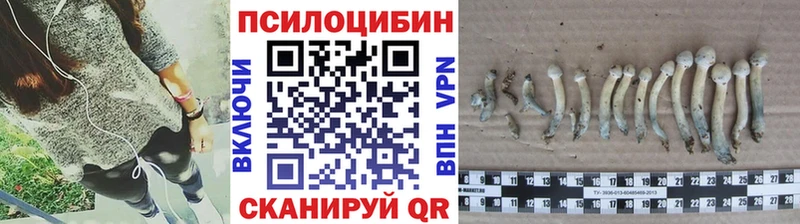 Галлюциногенные грибы прущие грибы  Муром 